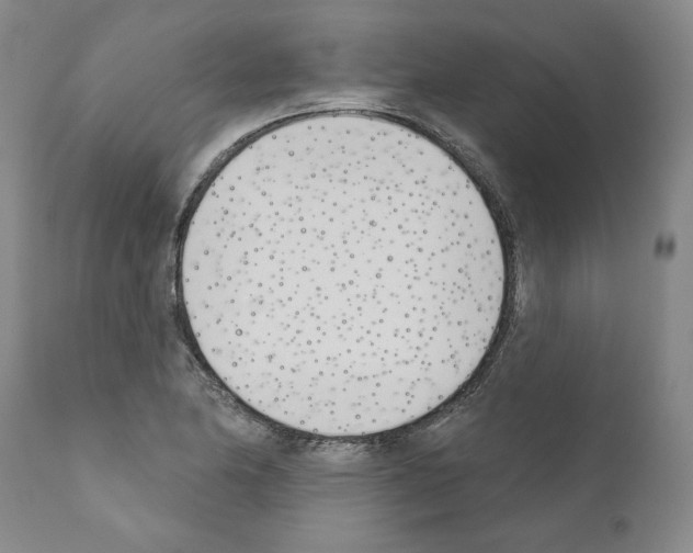 X0000111181174200908121104