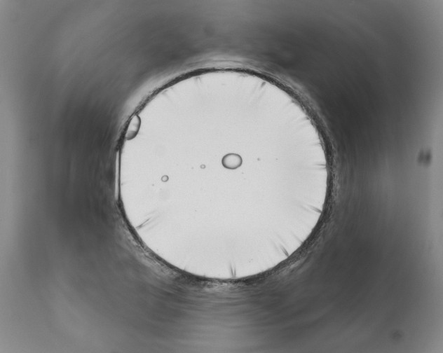 X0000111181175200908121104