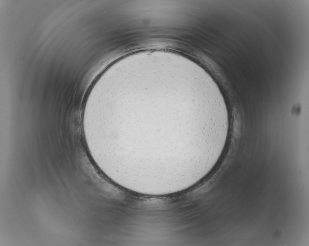 X0000111181178200908121104