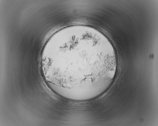 X0000111181179200908121104