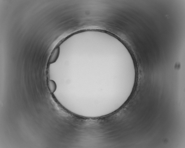 X0000111181181200908121104