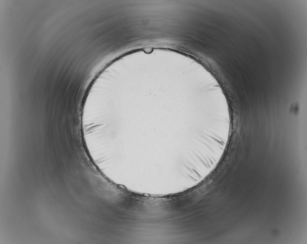 X0000111181184200908121104