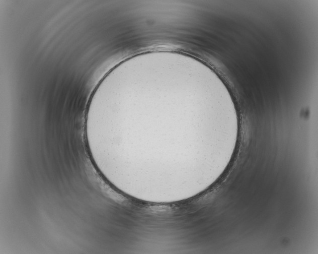 X0000111181186200908121104