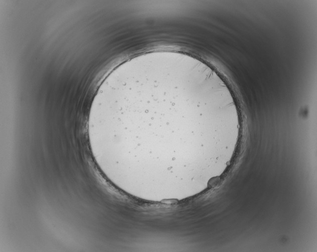 X0000111181193200908121104