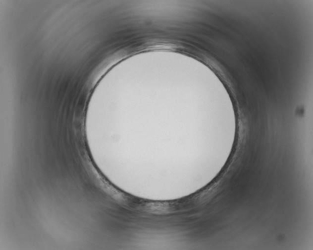 X0000111181194200908121104