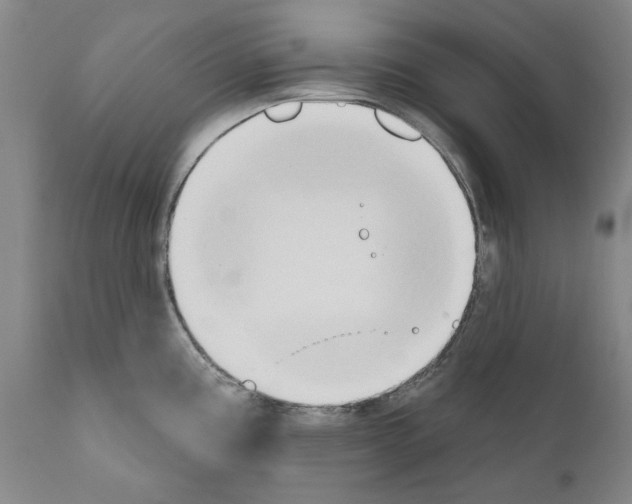 X0000111181195200908121104