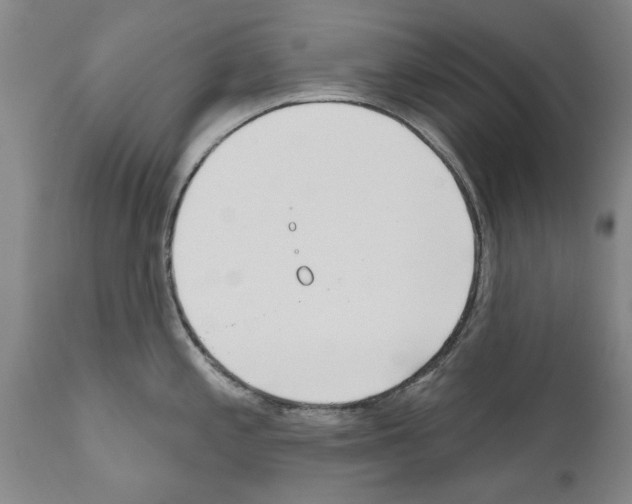 X0000111181197200908121104