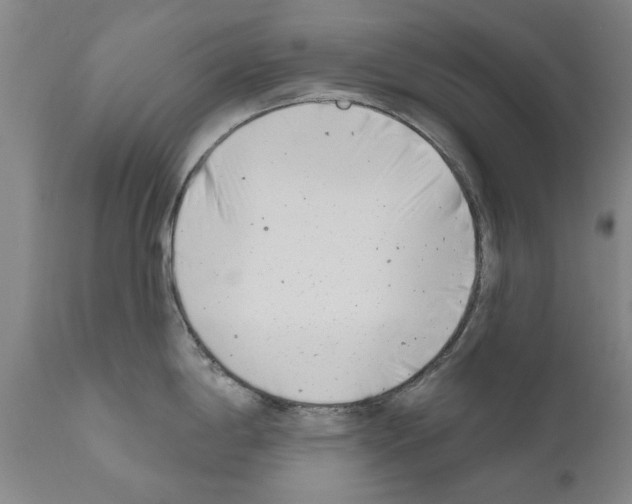 X0000111181198200908121104