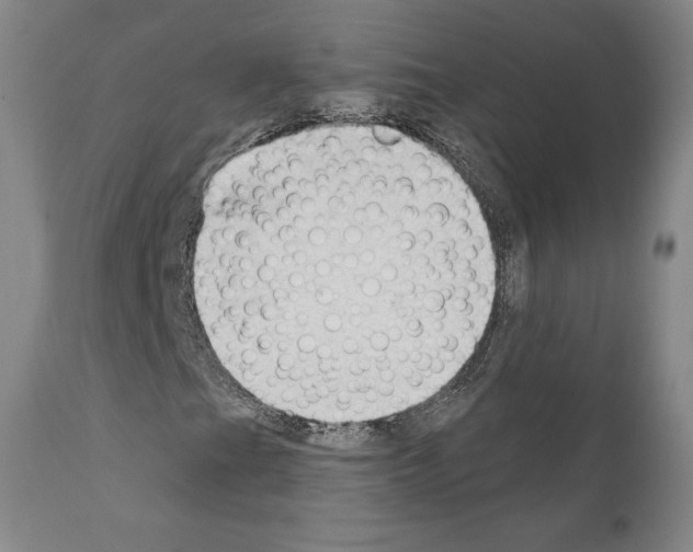 X0000111181201200908121103