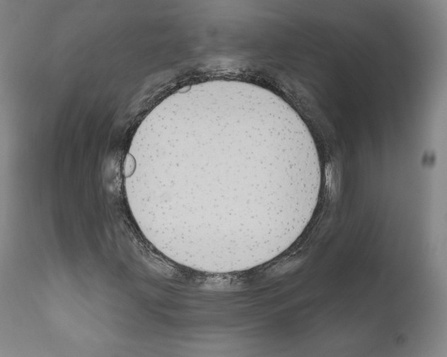 X0000111181203200908121103