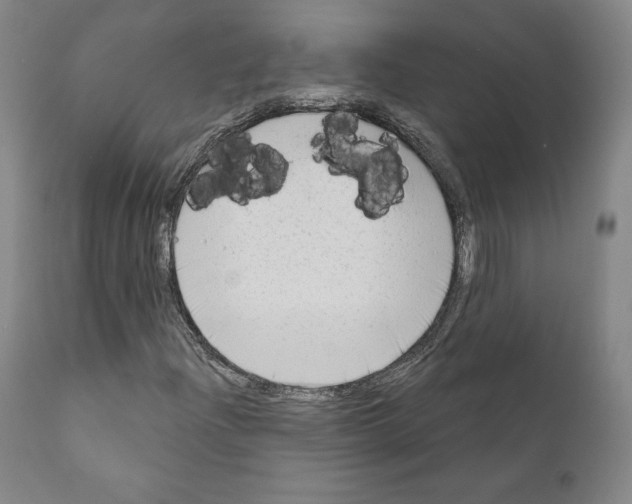 X0000111181204200908121103