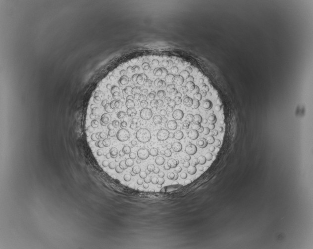 X0000111181205200908121103