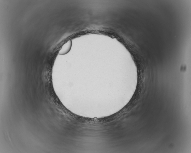 X0000111181206200908121103