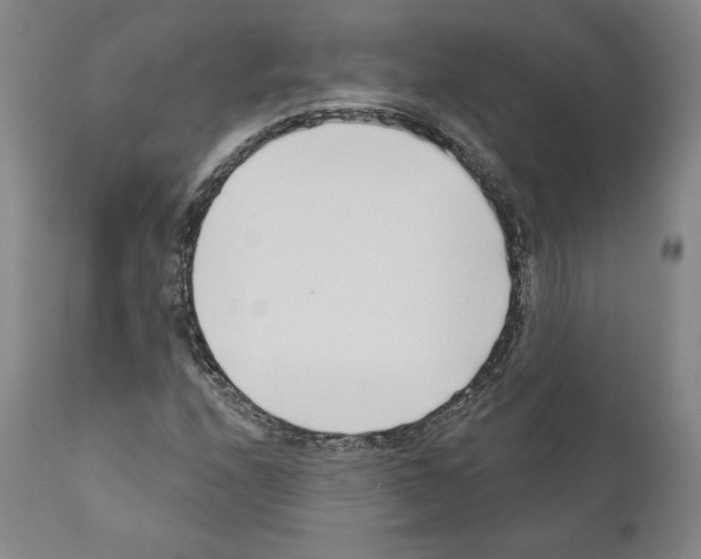 X0000111181208200908121103