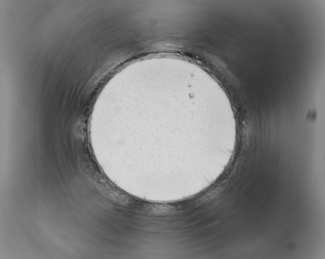 X0000111181209200908121103