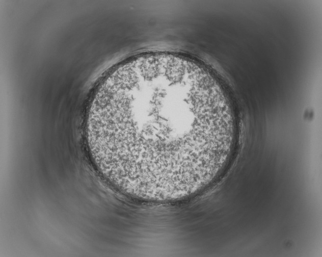 X0000111181213200908121103