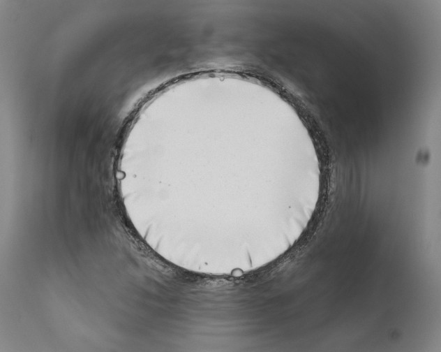 X0000111181214200908121103