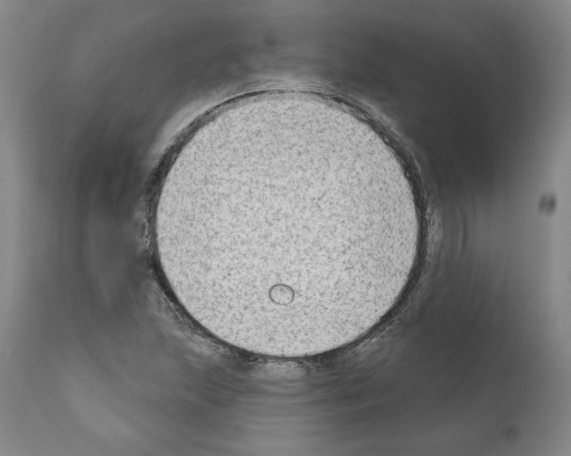 X0000111181215200908121103