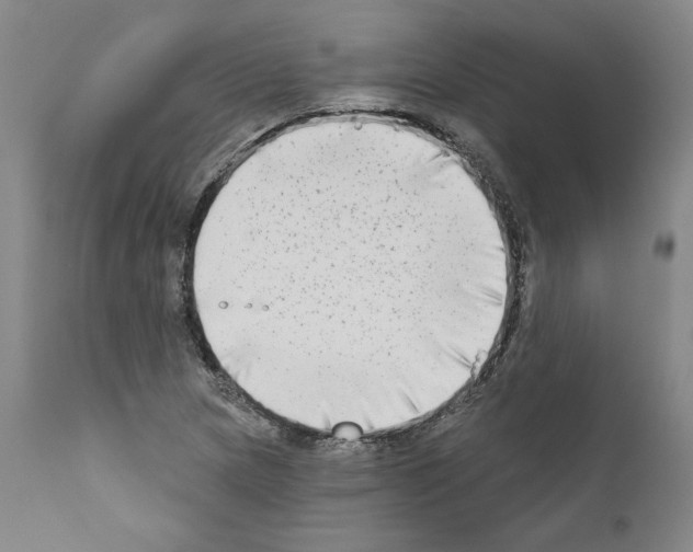 X0000111181217200908121103