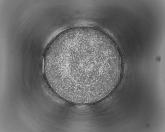 X0000111181219200908121103