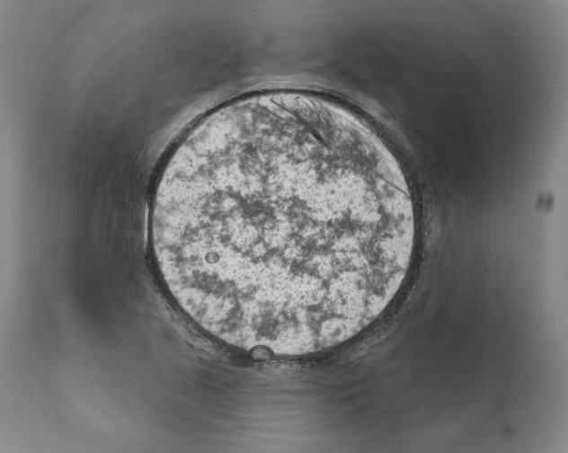 X0000111181221200908121103