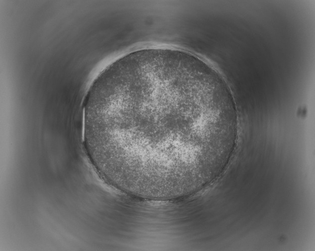 X0000111181223200908121103