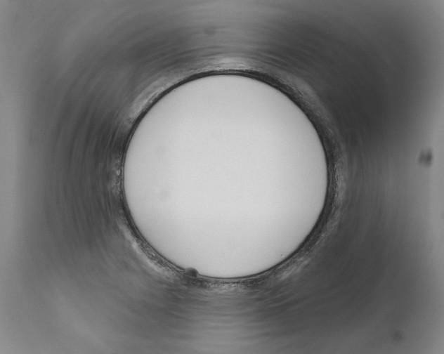 X0000111181225200908121104