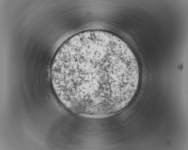 X0000111181226200908121104