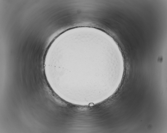 X0000111181230200908121104