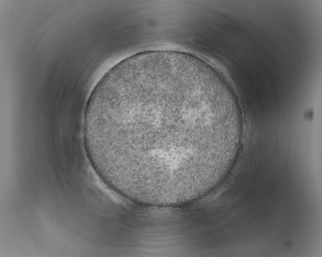 X0000111181231200908121104