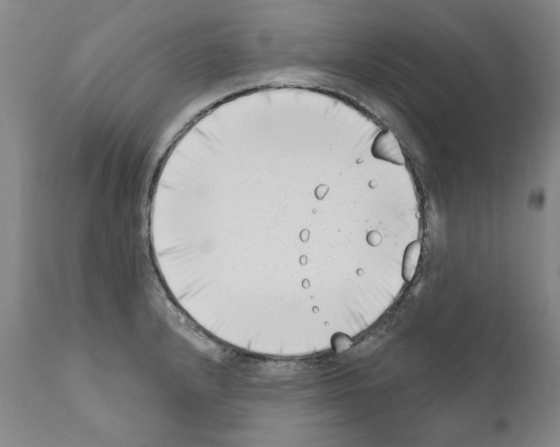 X0000111181232200908121104