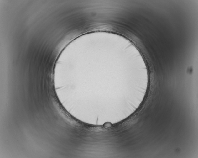 X0000111181234200908121104