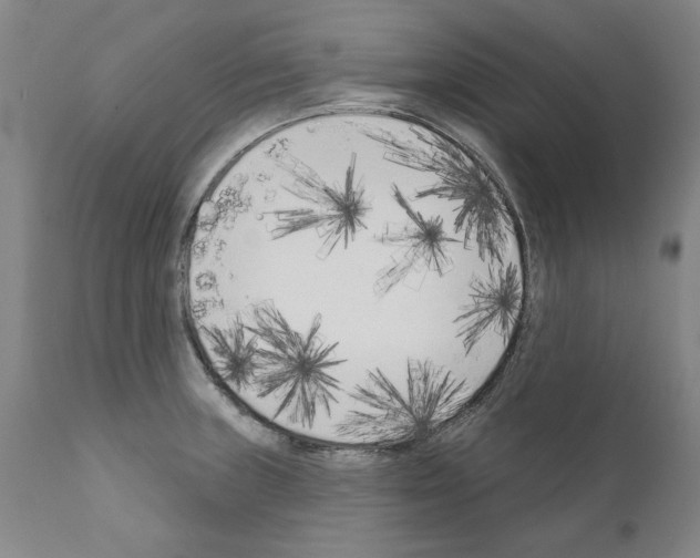 X0000111181235200908121104