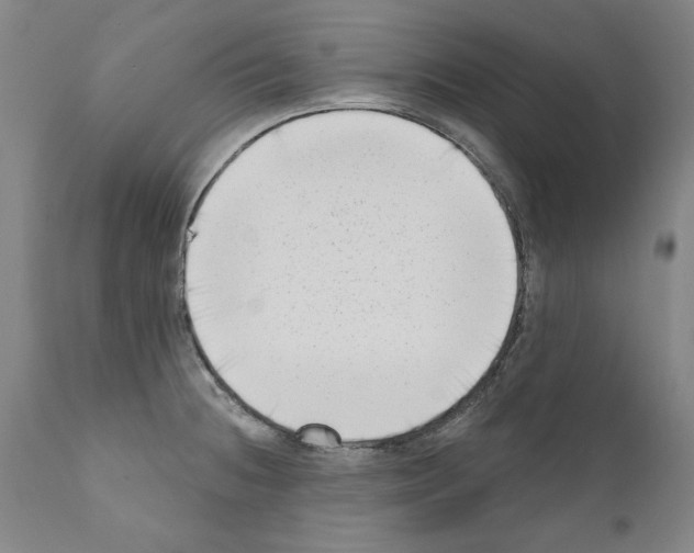 X0000111181236200908121104