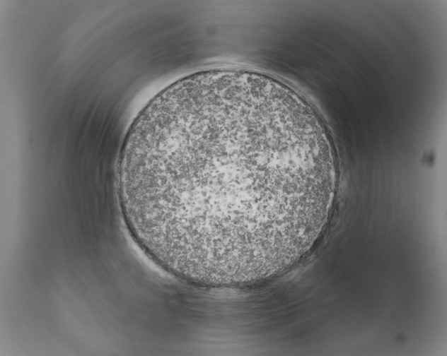 X0000111181239200908121104