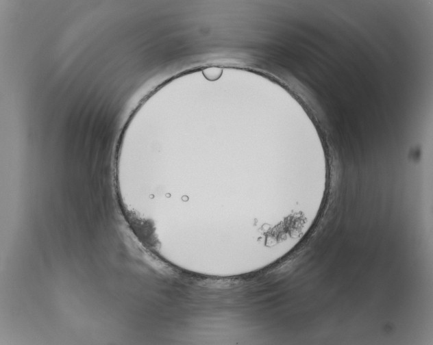 X0000111181240200908121104