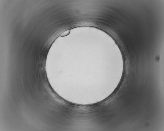 X0000111181241200908121104