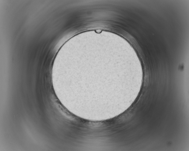 X0000111181242200908121104