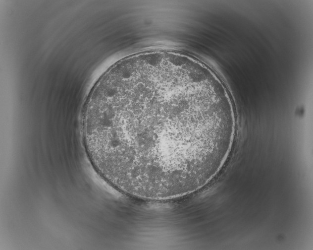 X0000111181243200908121104