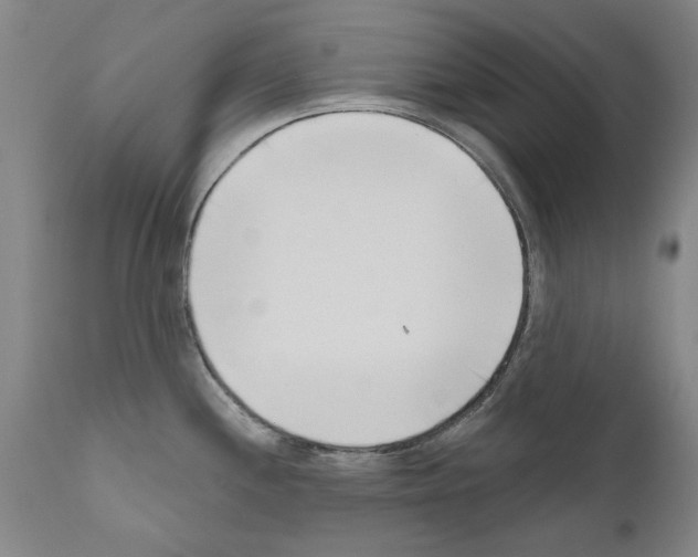 X0000111181244200908121104