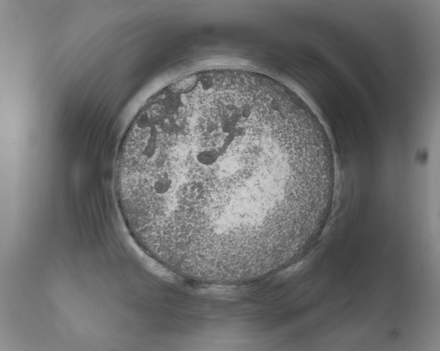 X0000111181245200908121104