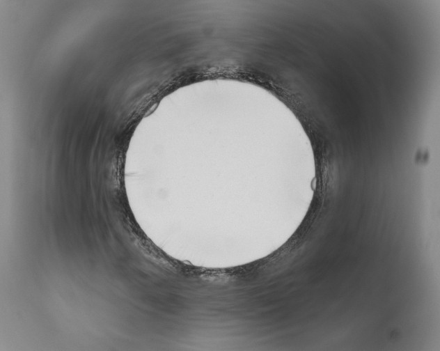 X0000111181250200908121103