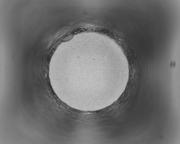 X0000111181253200908121103