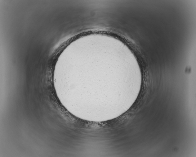 X0000111181255200908121103