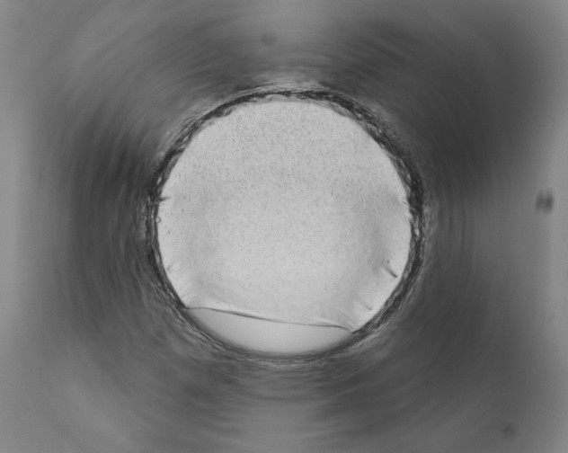 X0000111181257200908121103