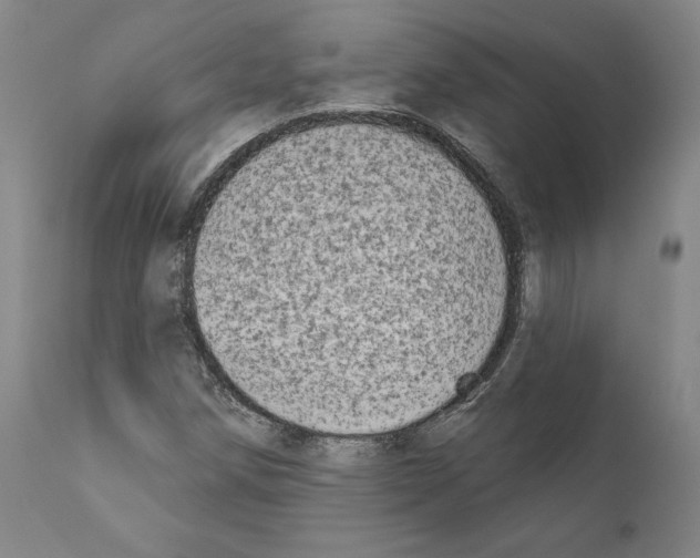 X0000111181258200908121103