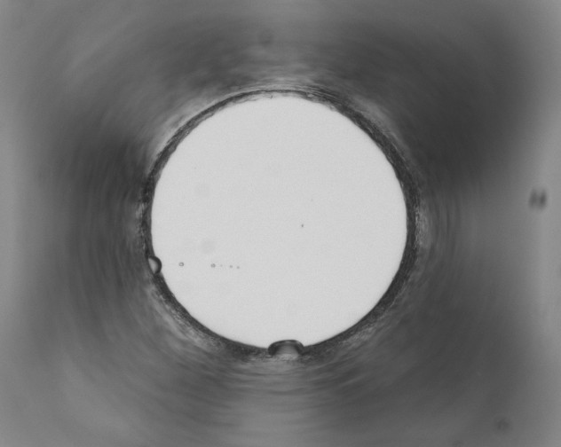 X0000111181260200908121103