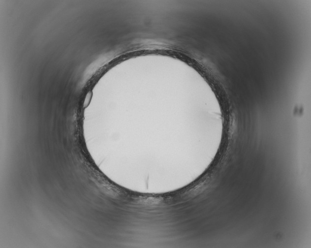 X0000111181261200908121103