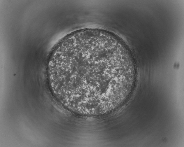 X0000111181263200908121103