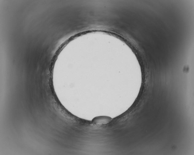 X0000111181264200908121103